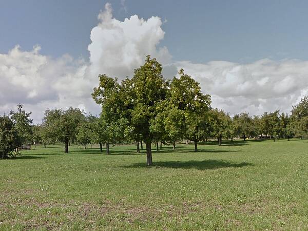 Naturnahes Wohnen auf dem Land
