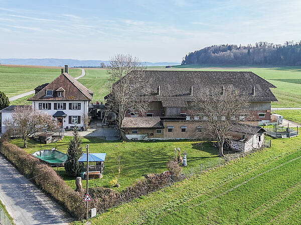 Landwirtschaftliches Gewerbe mit Wohnhaus, Käserei und Schweinemast