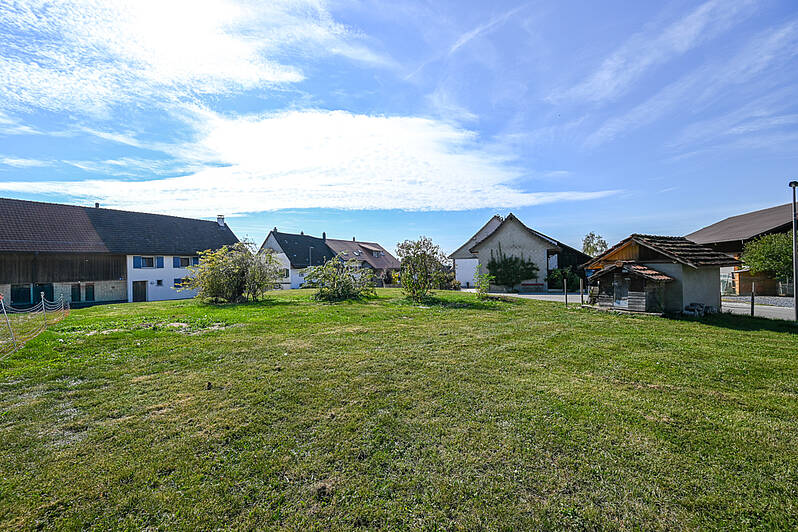 Fläche